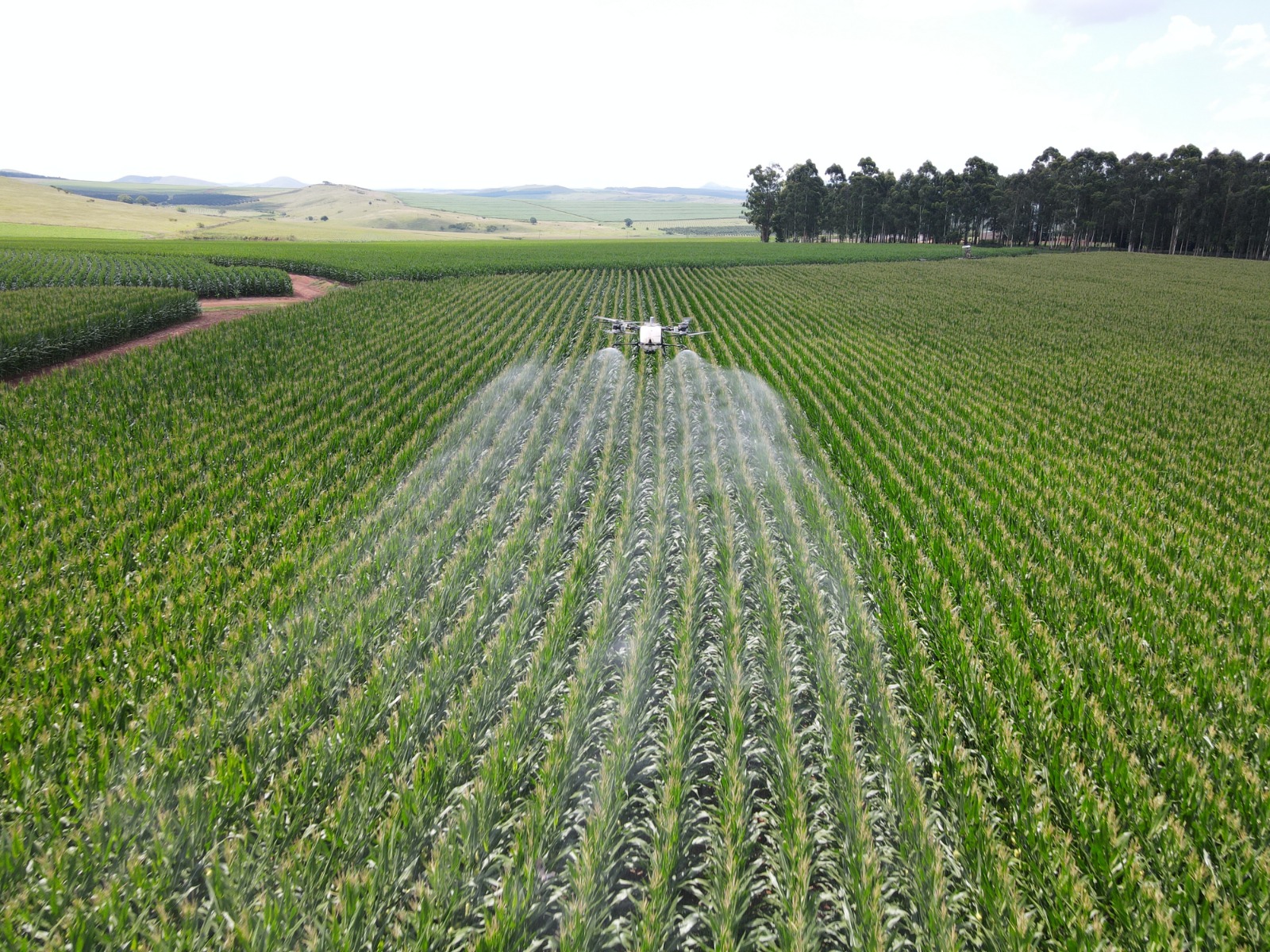 Fertilizer Spreading